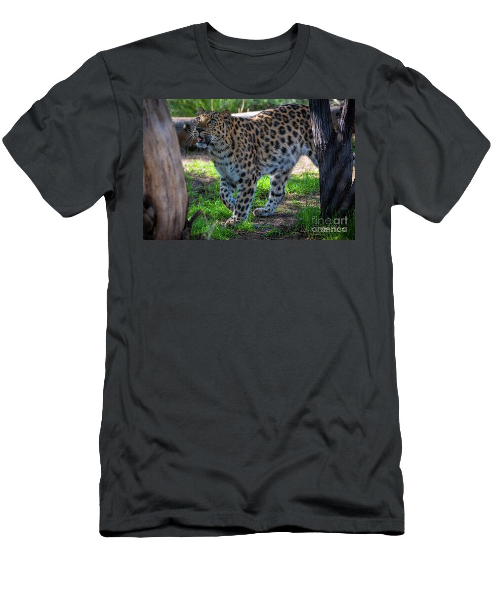 Cat T-Shirt featuring the photograph I See Food by David Levin