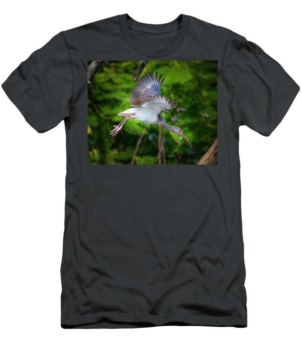 Ibis T-Shirt featuring the photograph Ibis in Flight by Mark Andrew Thomas
