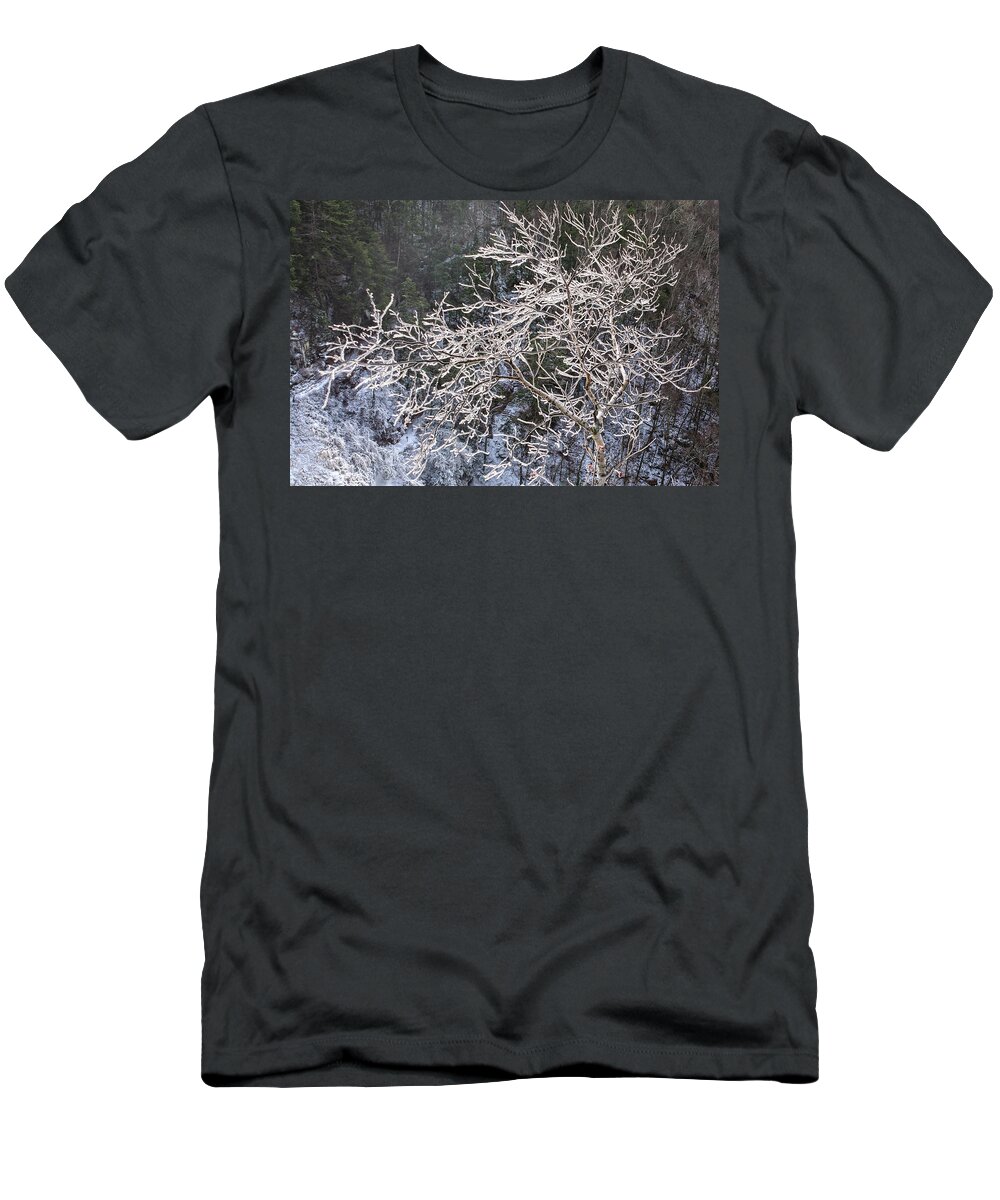 Waterfalls T-Shirt featuring the photograph Ice Tree Sentinel by Angelo Marcialis