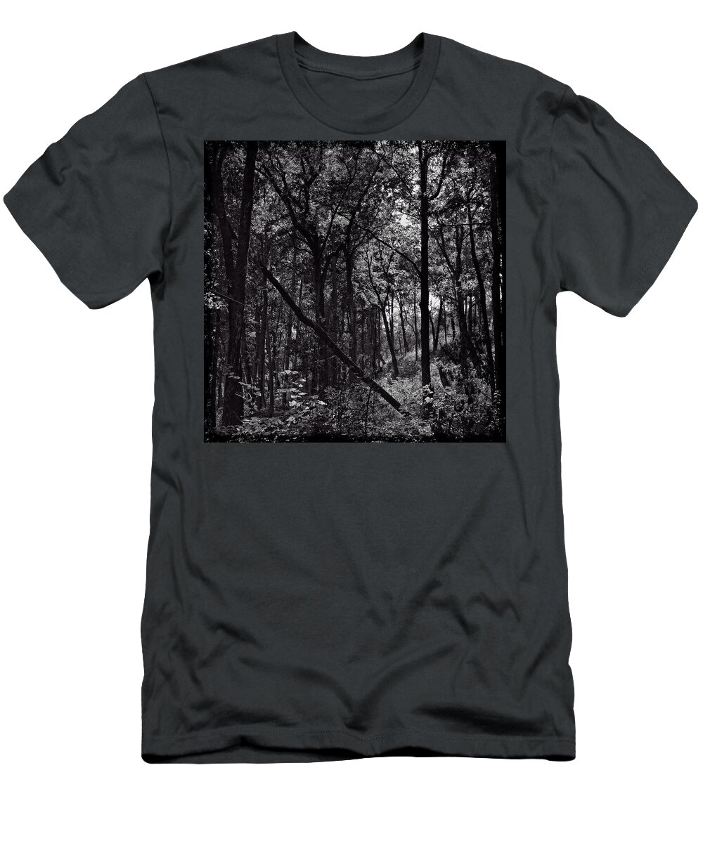 Tree T-Shirt featuring the photograph If a Tree Falls by George Taylor