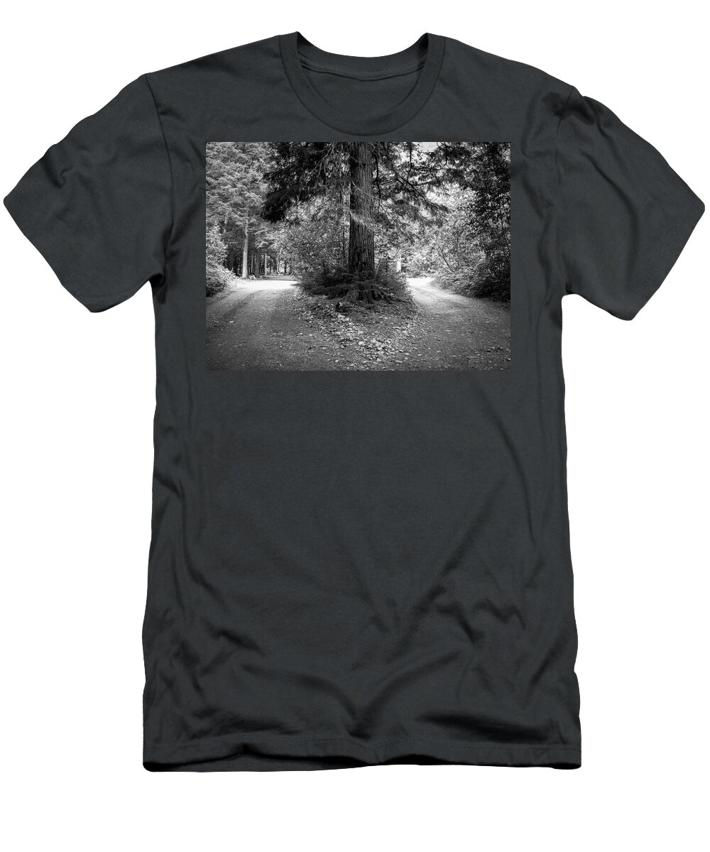 Tree T-Shirt featuring the photograph If You See a Fork in the Road, Take It by Mary Lee Dereske
