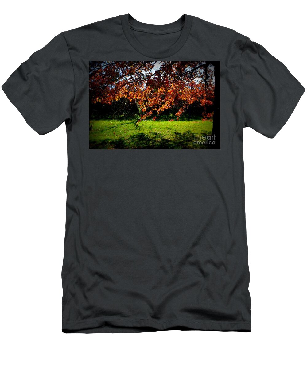 Nature T-Shirt featuring the photograph Illuminated Golden Autumn Leaves by Frank J Casella