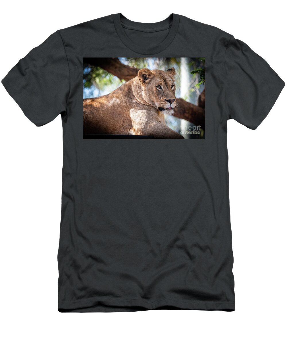 Cat T-Shirt featuring the photograph I'm Not Watching You by David Levin
