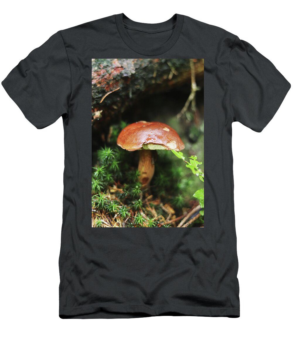 Autumn T-Shirt featuring the photograph Imleria badia found her birthplace by Vaclav Sonnek