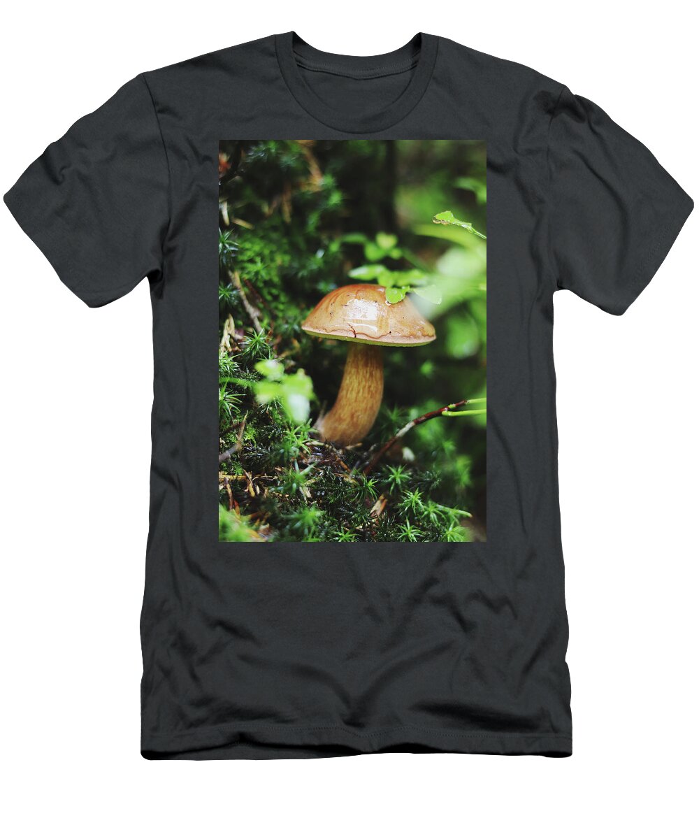 Hand T-Shirt featuring the photograph Imleria badia is squatting in the undergrowth. by Vaclav Sonnek