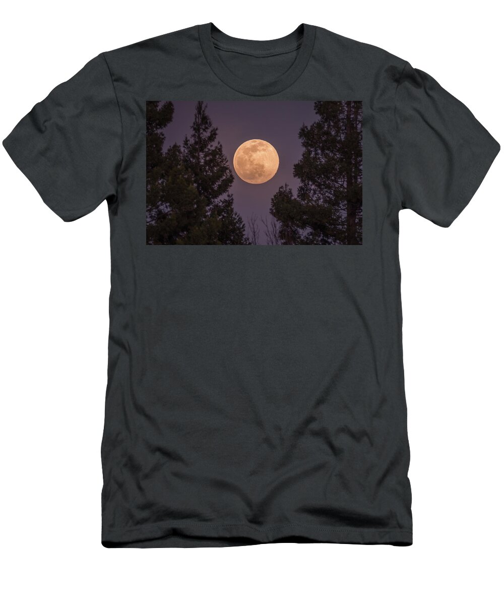 Landscape T-Shirt featuring the photograph In Between by Laura Macky