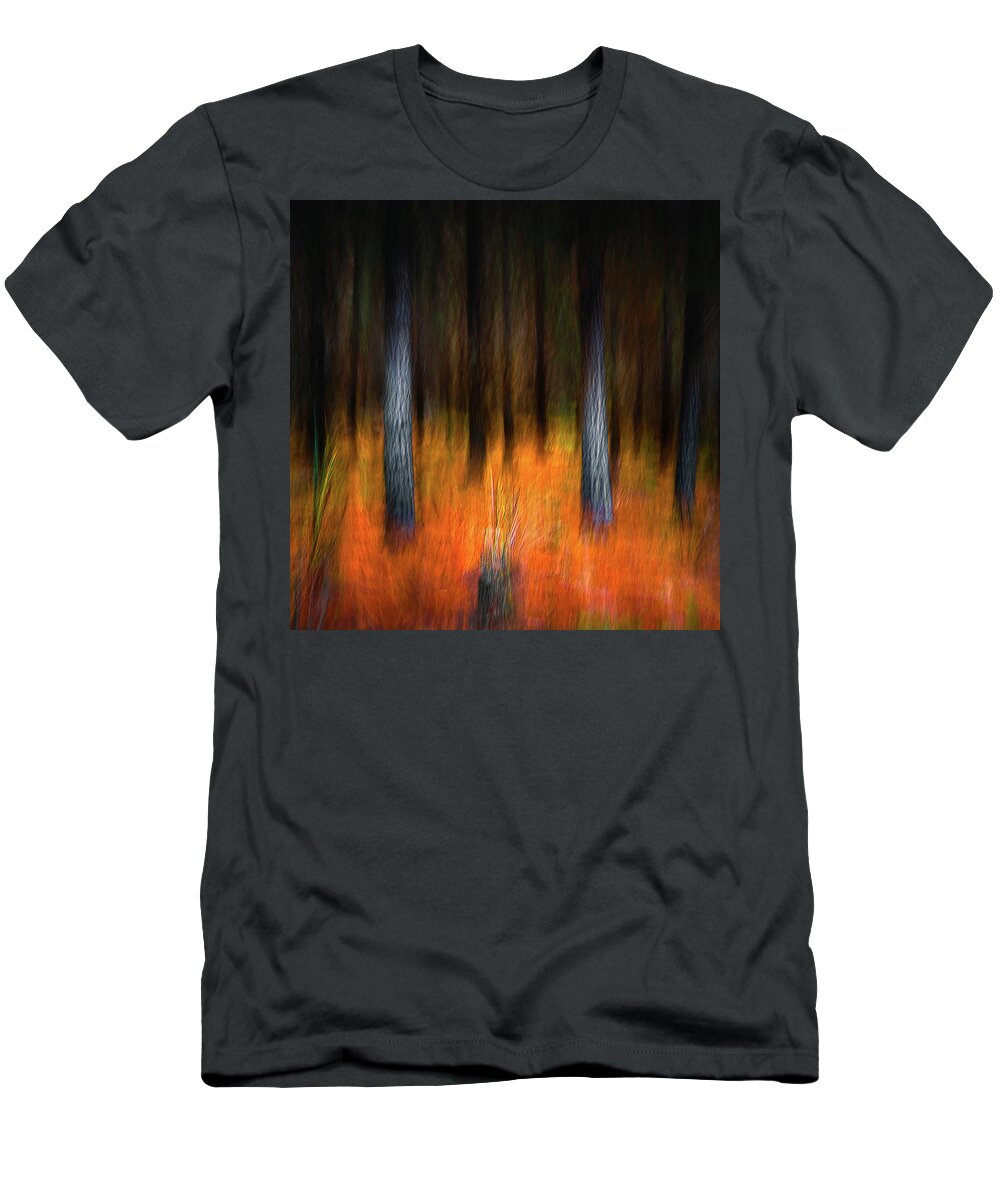 Landscape T-Shirt featuring the photograph In the Forest by Grant Galbraith