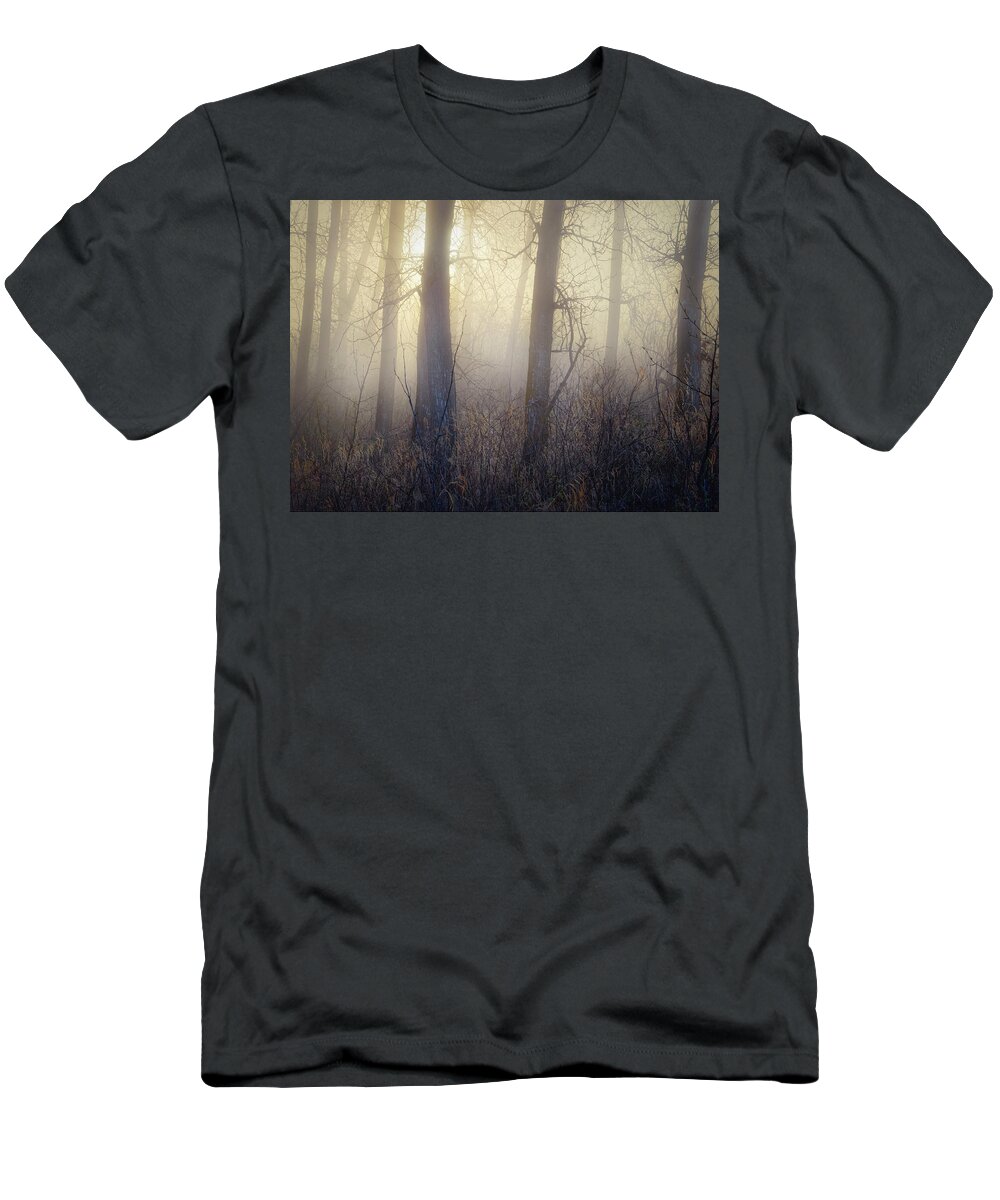 Trees T-Shirt featuring the photograph In The Woods by Dan Jurak