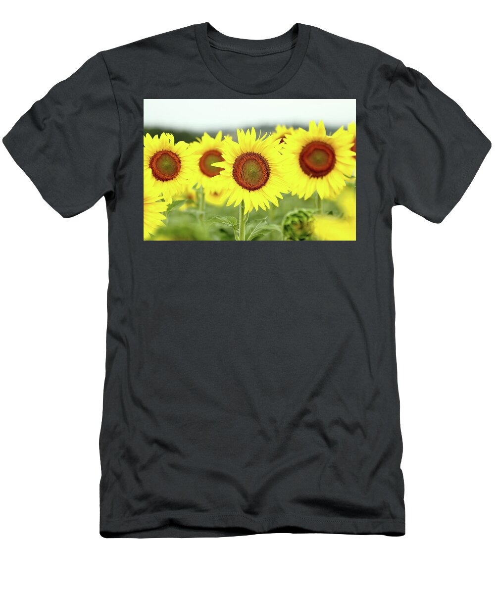 Sunflower T-Shirt featuring the photograph In Your Face by Lens Art Photography By Larry Trager