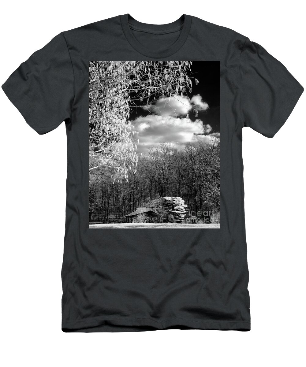 Bnw T-Shirt featuring the photograph Infrared in the park by Izet Kapetanovic