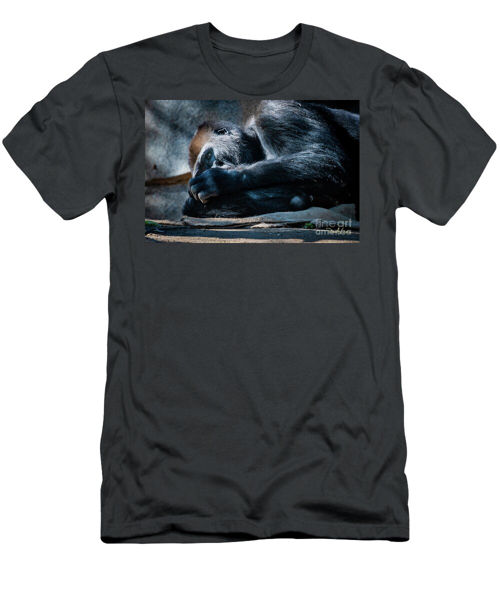 Animals T-Shirt featuring the photograph Insomnia by David Levin