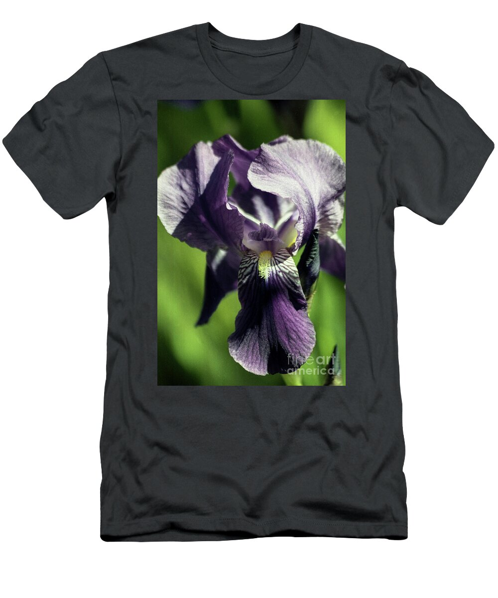 Arizona T-Shirt featuring the photograph Into the World of the Iris by Kathy McClure