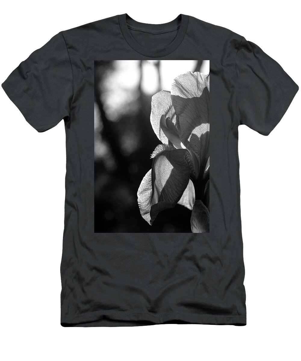 Iris T-Shirt featuring the photograph Iris 3 by Pamela Taylor