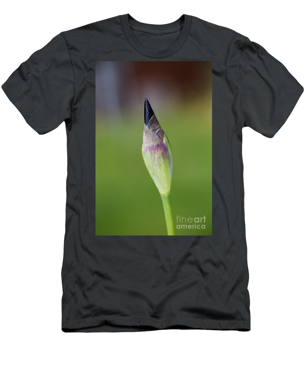 Iridaceae T-Shirt featuring the photograph Iris Bud Purple To Black by Joy Watson
