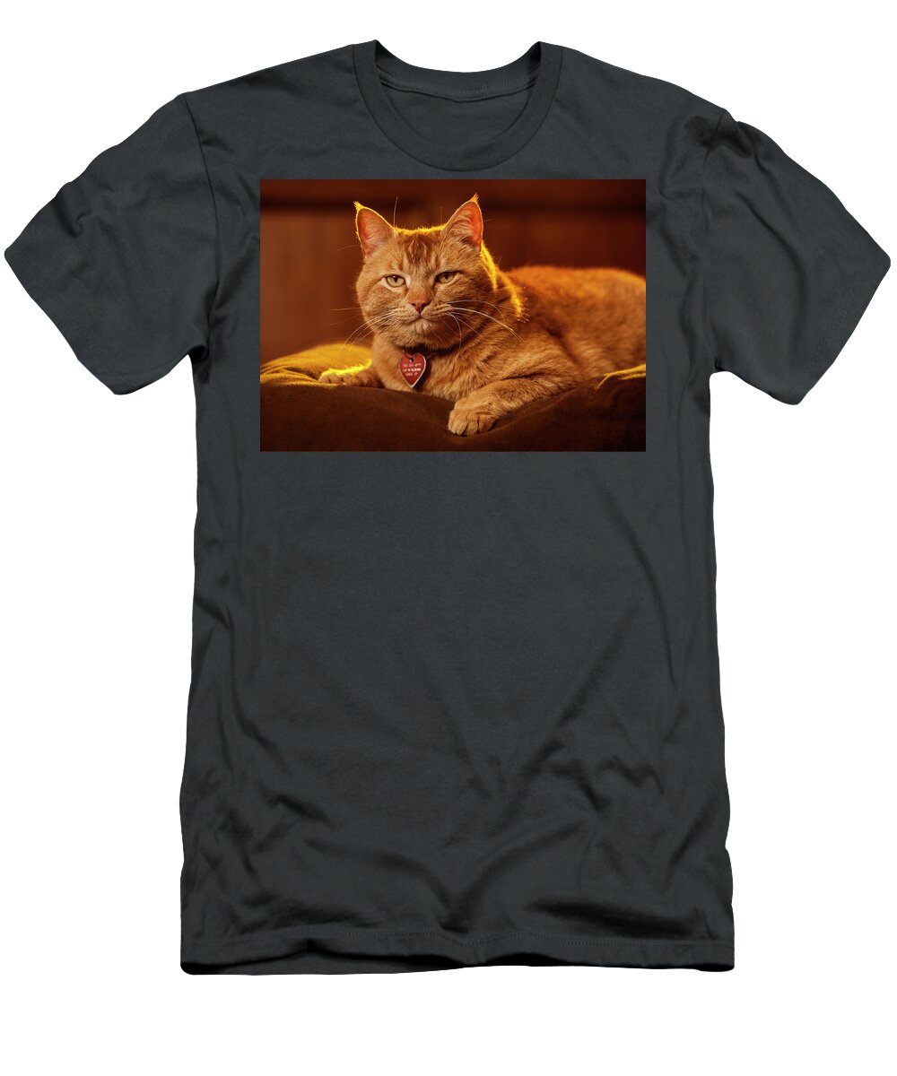 Cat Portrait T-Shirt featuring the photograph Jack by John Rogers