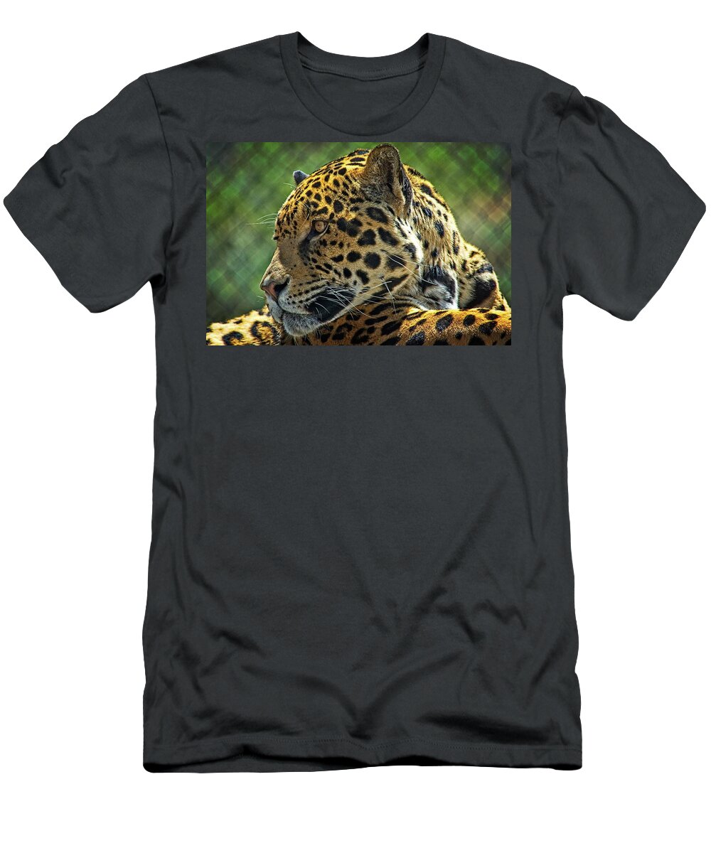 Mammal T-Shirt featuring the photograph Jaguar Profile by David Desautel