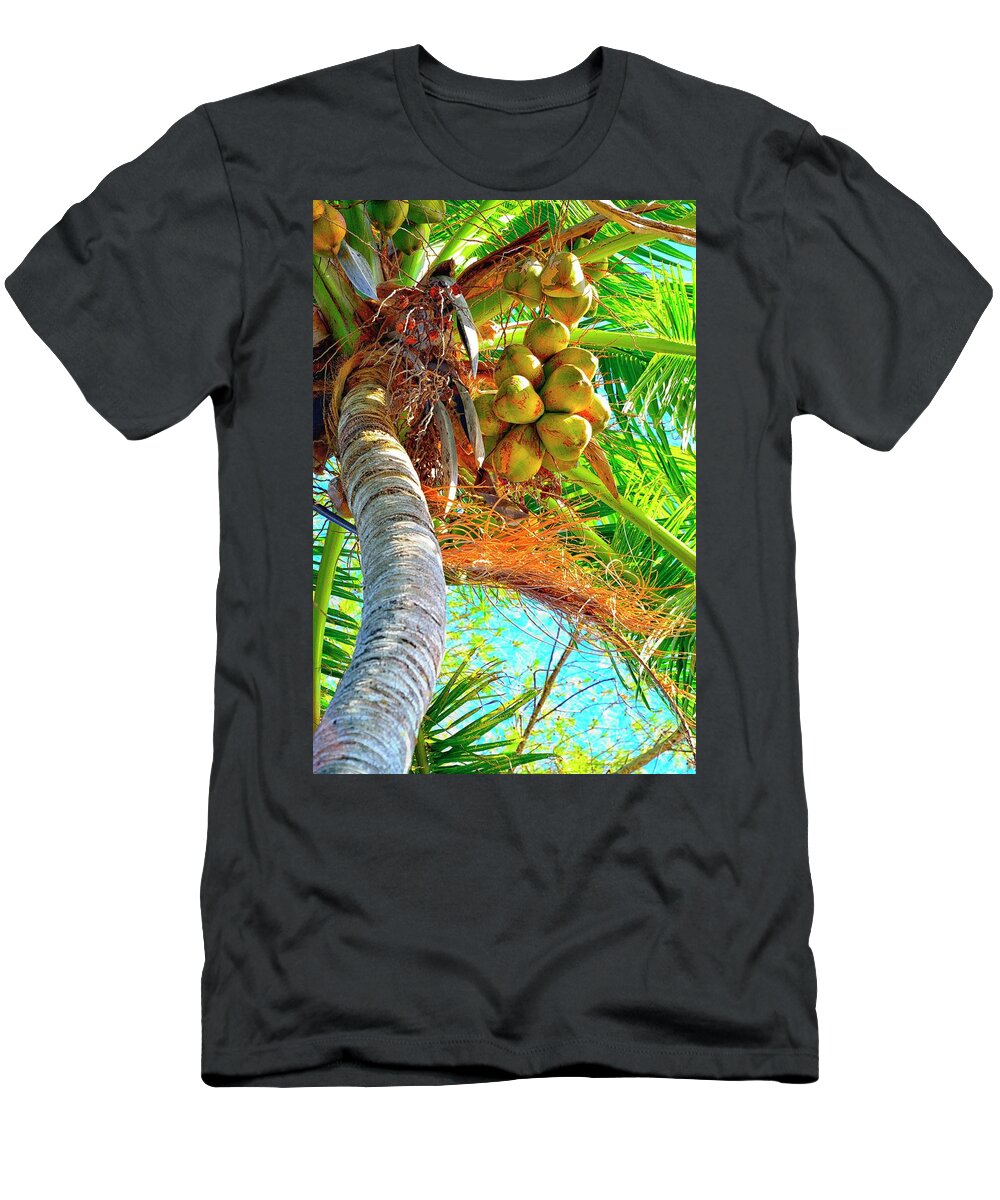 Coconut T-Shirt featuring the photograph Jammin by Alison Belsan Horton
