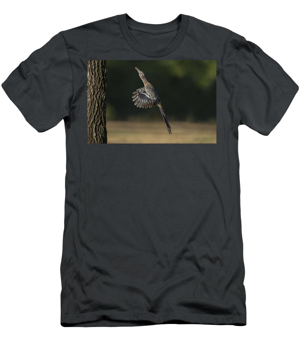 Greater Roadrunner T-Shirt featuring the photograph Jumping to Feed by Puttaswamy Ravishankar