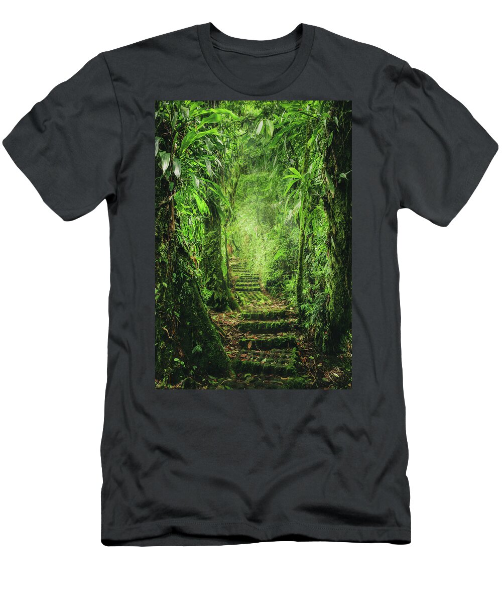 Rainforest T-Shirt featuring the photograph Jungle Stairs by Nicklas Gustafsson