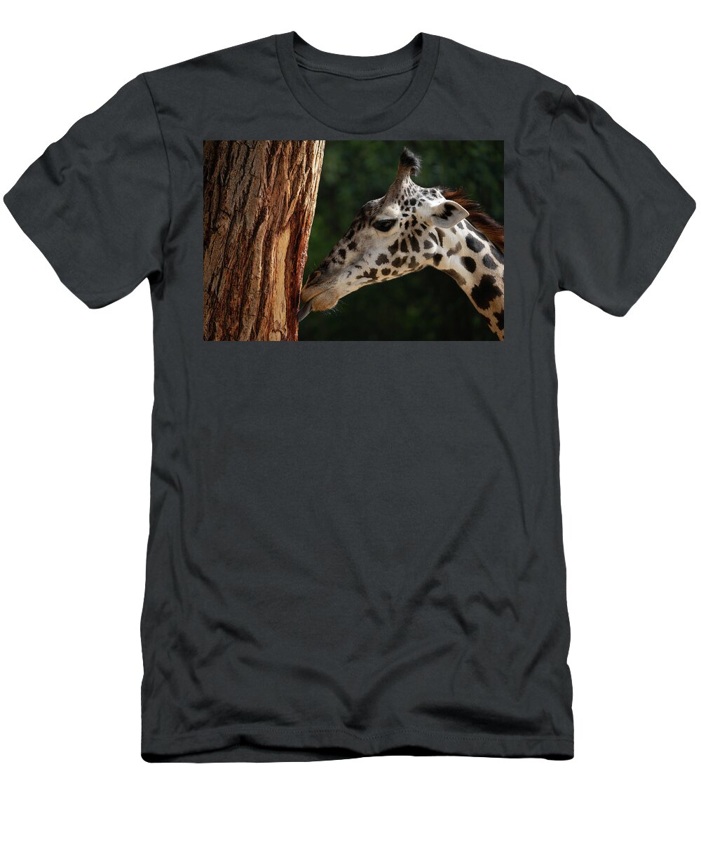 Giraffe T-Shirt featuring the photograph Giraffe - Just Like a Lollipop by Tina Horne