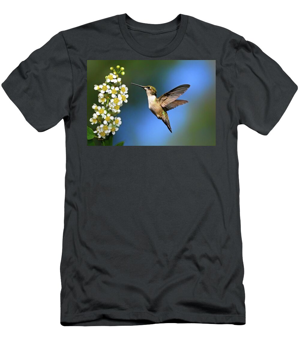 Hummingbird T-Shirt featuring the photograph Just Looking by Christina Rollo