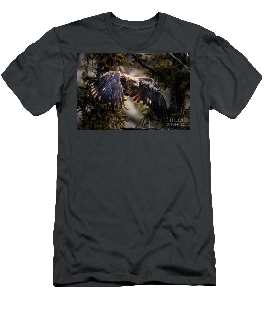 Juvenile T-Shirt featuring the photograph Juvenile Bald Eagle Flying by Steven Krull