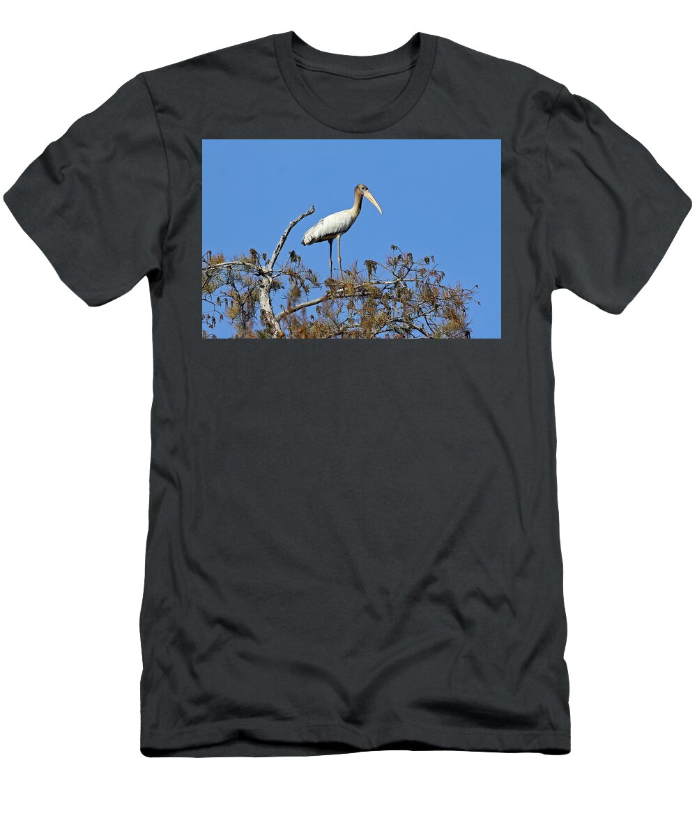 Georgia T-Shirt featuring the photograph Juvenile Wood Stork by Jennifer Robin