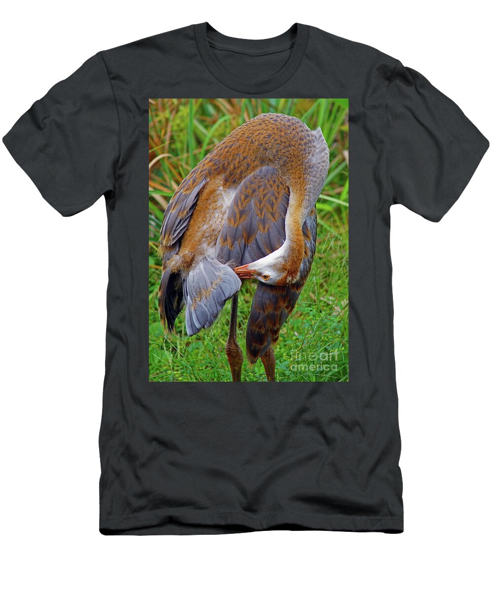 Sandhill T-Shirt featuring the photograph Juvie Sandhill preening by Larry Nieland