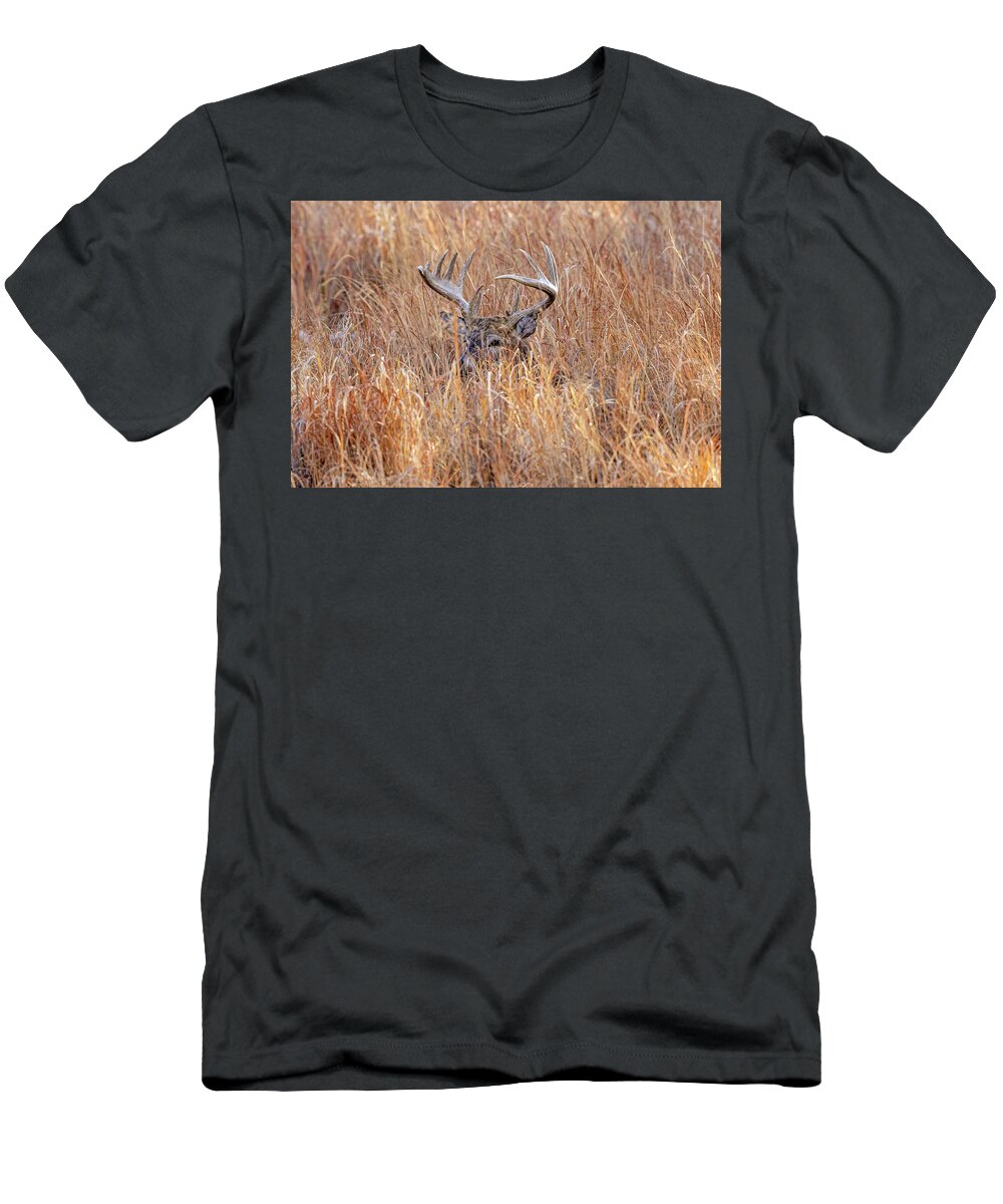 Deer T-Shirt featuring the photograph Keeping and Eye On You by D Robert Franz