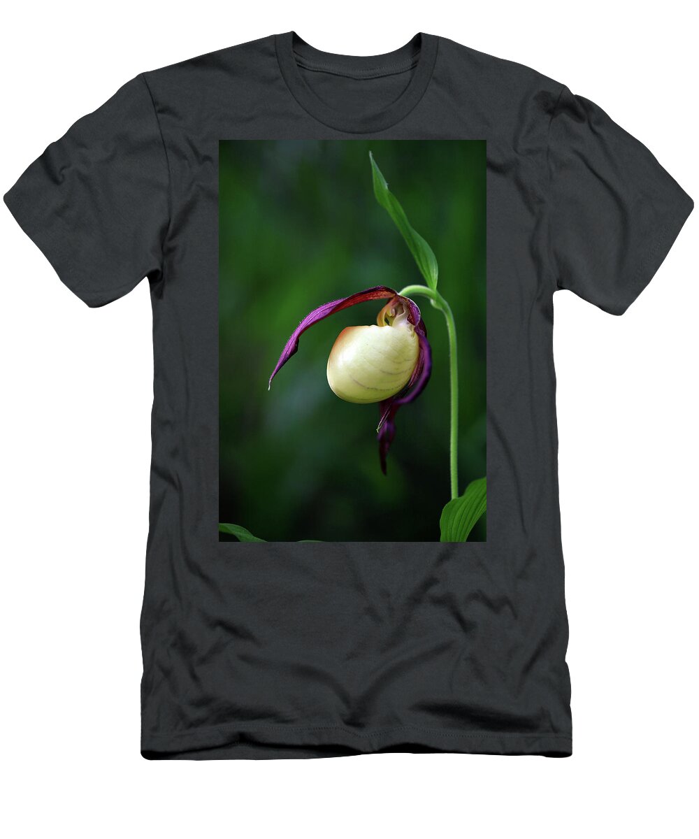  T-Shirt featuring the photograph Kentucky Lady Slipper by William Rainey