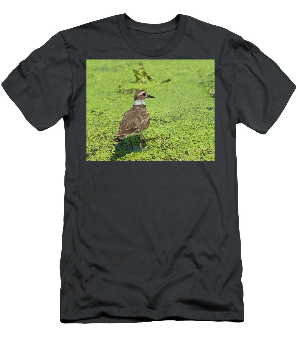 Wildlife T-Shirt featuring the photograph Killdeer - 6884 by Jerry Owens