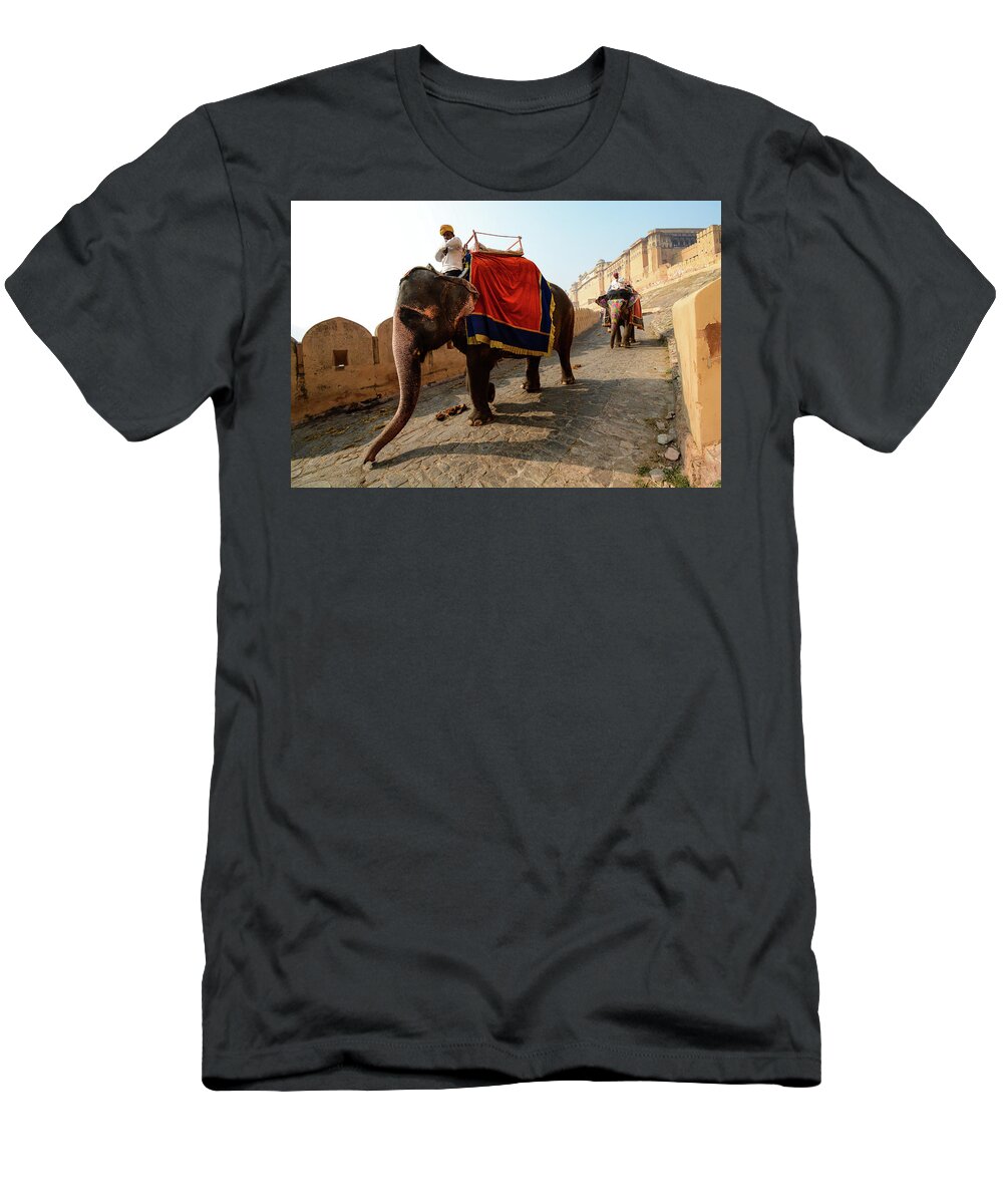 India T-Shirt featuring the photograph Kingdom Come II - Amber Fort, Rajasthan. India by Earth And Spirit