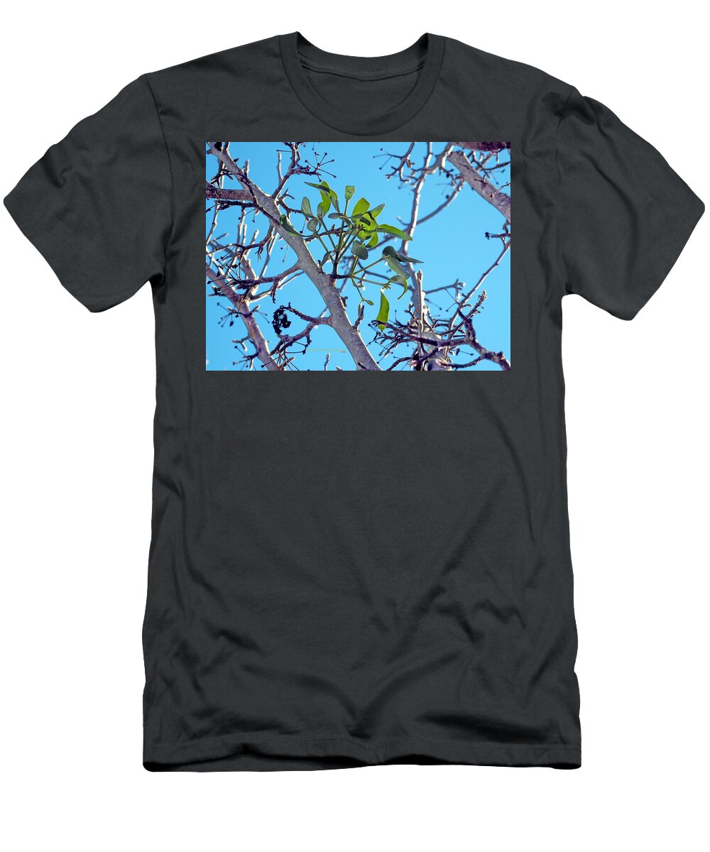 Winter T-Shirt featuring the photograph Kiss Starter by Richard Thomas