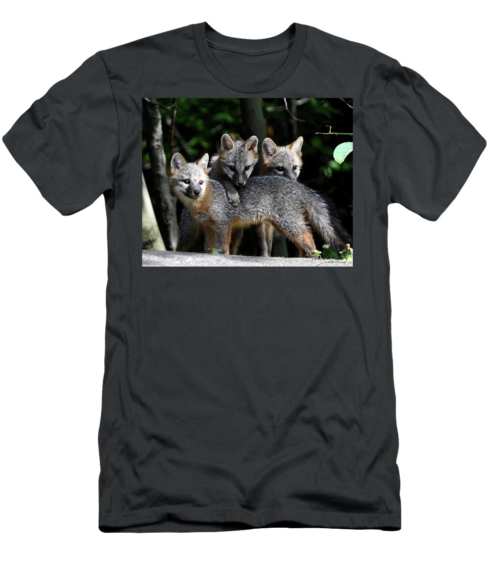 Kit Fox T-Shirt featuring the photograph Kit Fox10 by Torie Tiffany