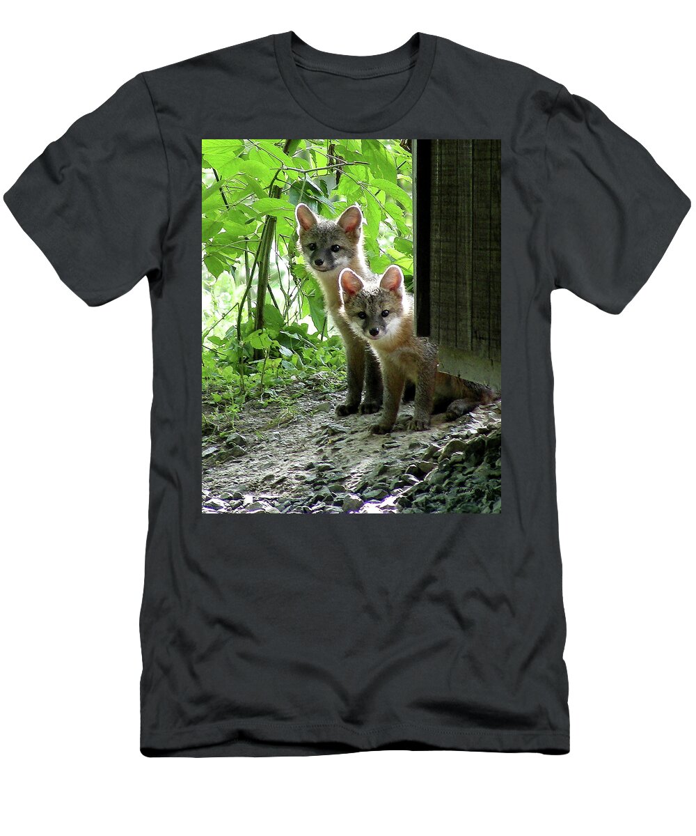 Kit Fox T-Shirt featuring the photograph Kit Fox16 by Torie Tiffany
