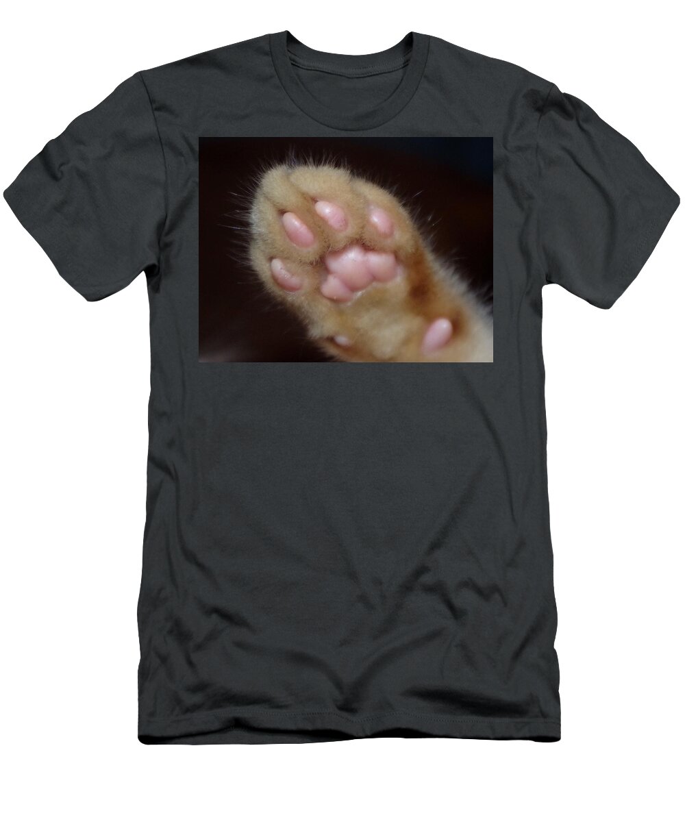 Kitten T-Shirt featuring the photograph Kitten's Paw by Bess Carter