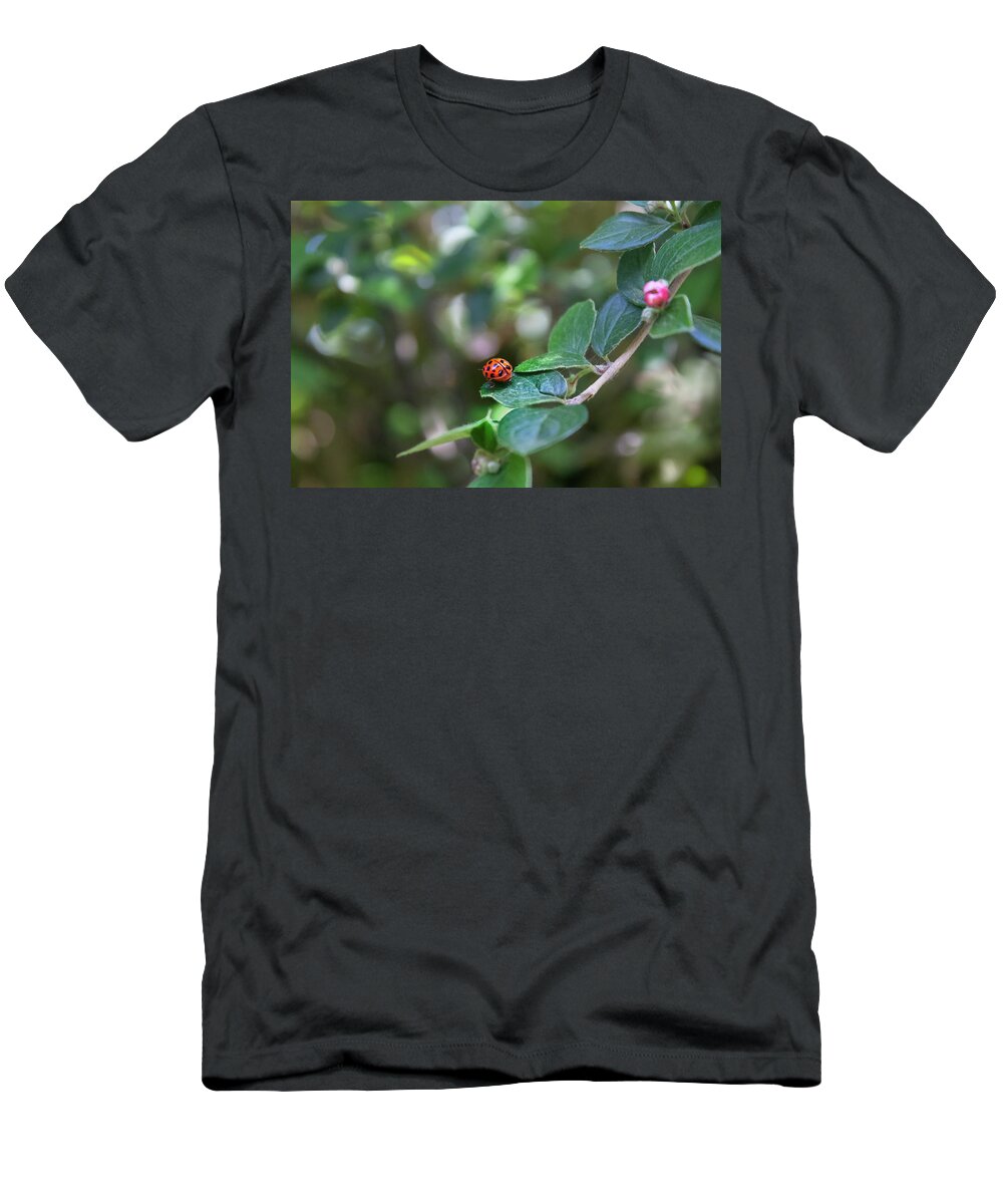 Ladybug T-Shirt featuring the photograph Ladybug by MPhotographer