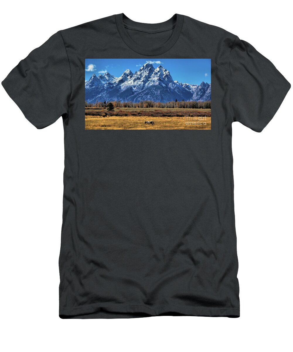National Park T-Shirt featuring the photograph Landscape_Grand Tetons National Park_0F7A0076 by Randy Matthews