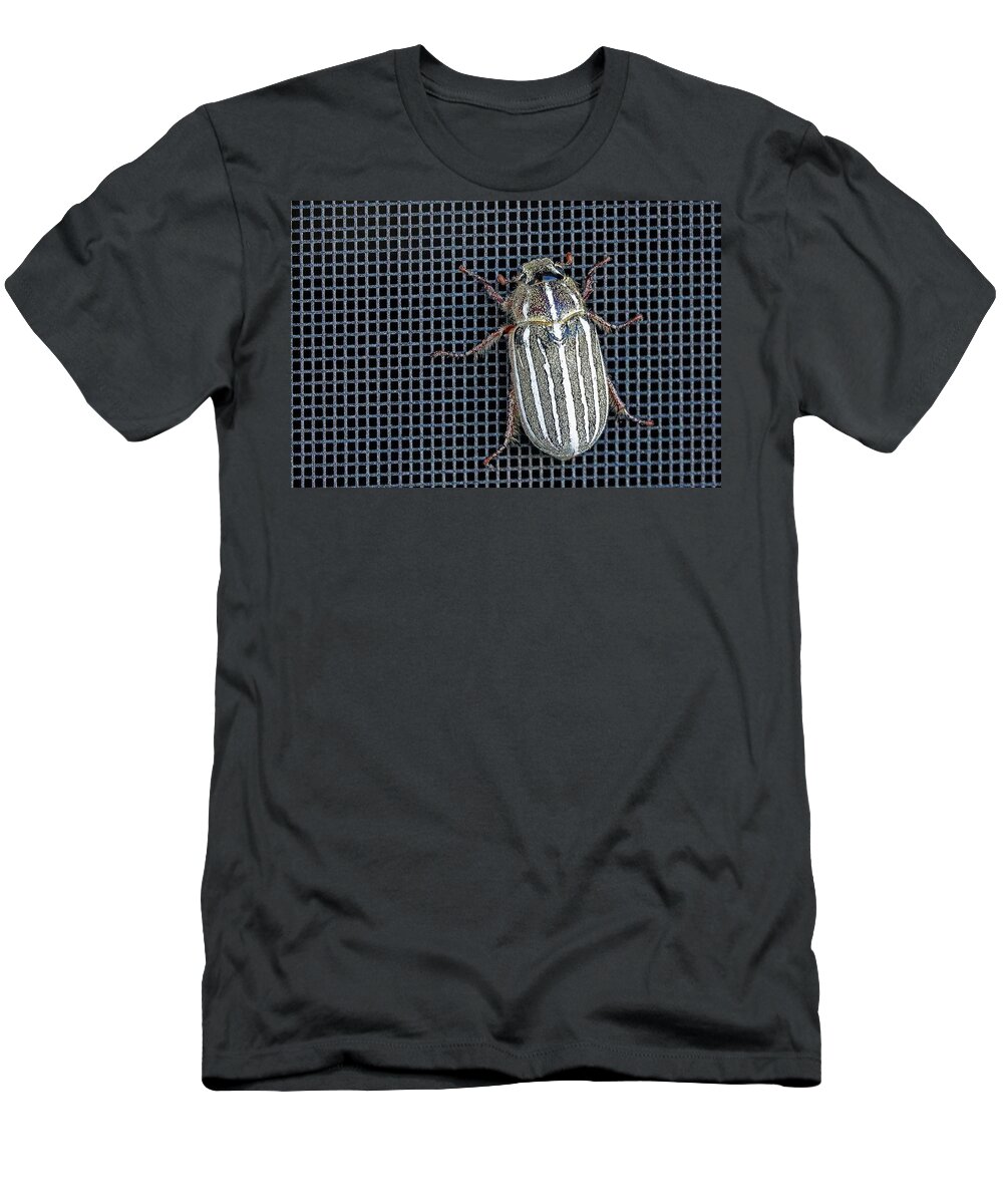 Insect T-Shirt featuring the photograph Large Watermealon Beetle by David Desautel