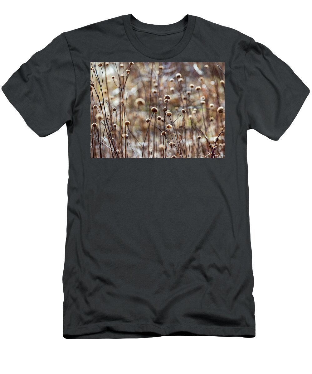 Winter T-Shirt featuring the photograph Late Winter Field by Amelia Pearn