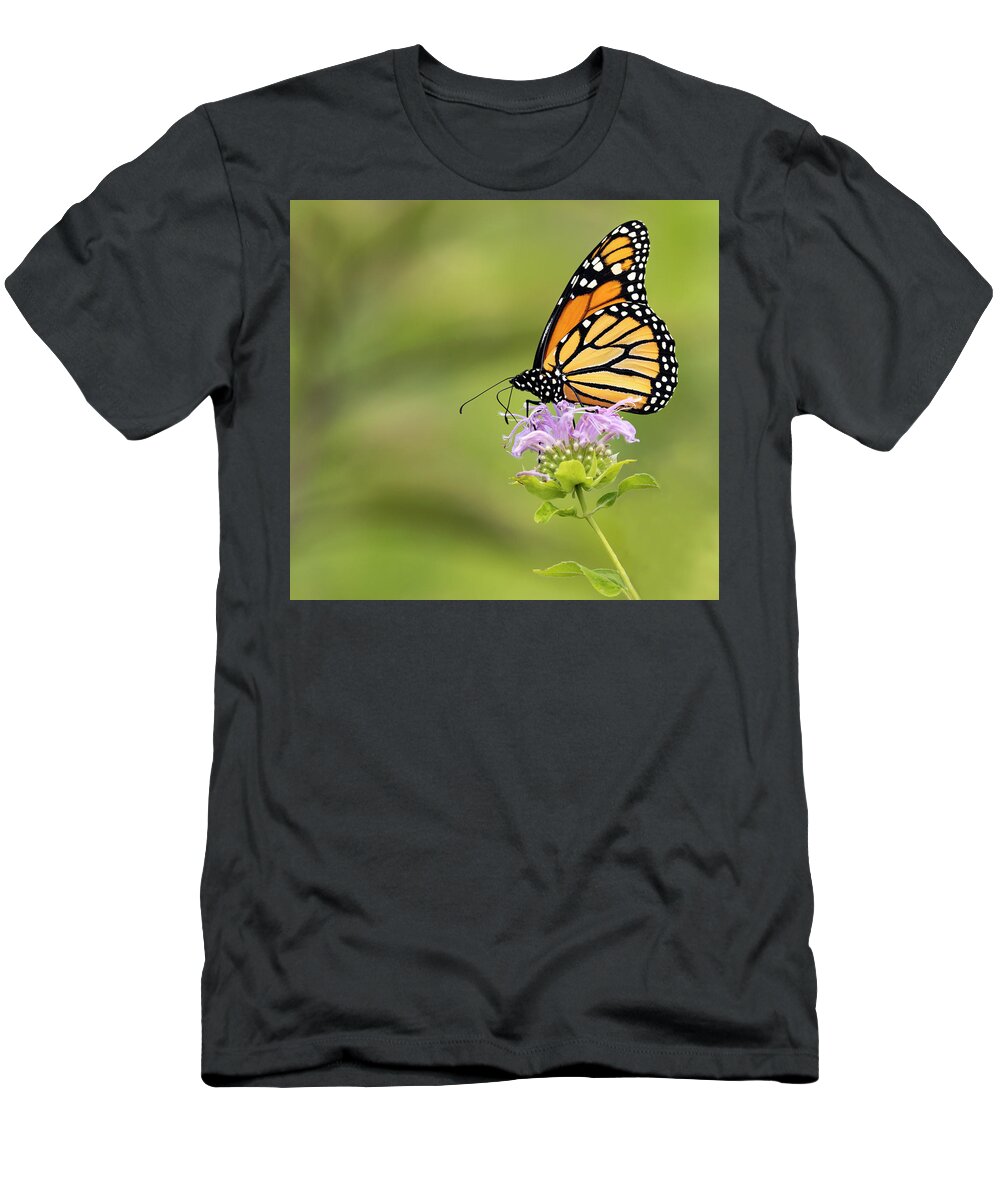 Insect T-Shirt featuring the photograph Lavender Love by Art Cole