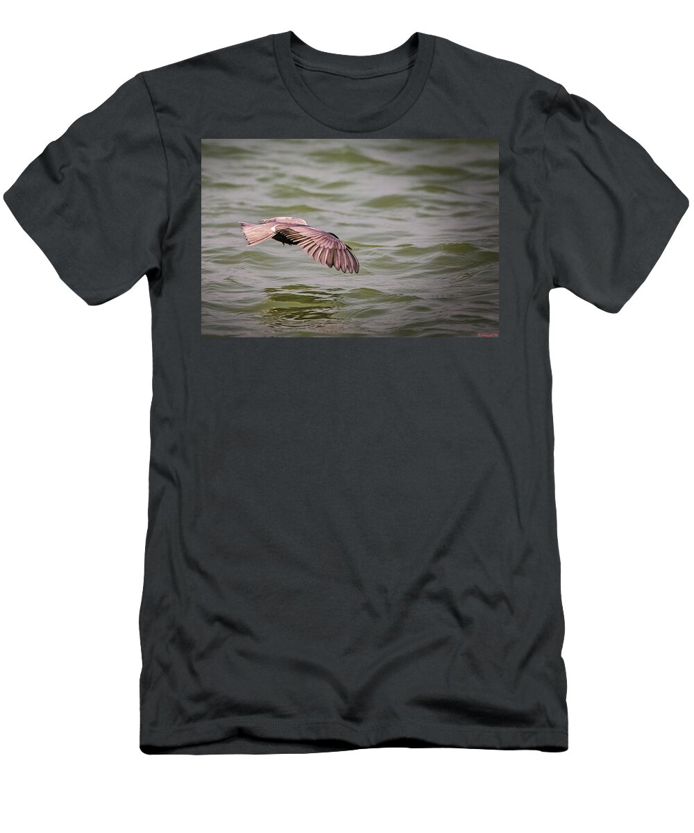 Duck T-Shirt featuring the photograph Leach's Storm Kestrel by Rene Vasquez