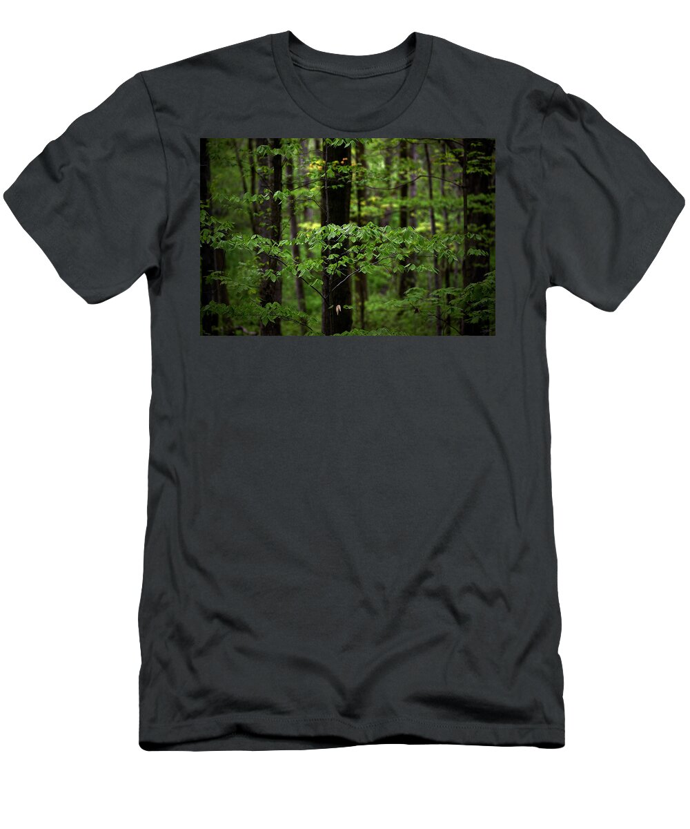 Branches T-Shirt featuring the photograph Leafy Bliss by Doug Gibbons