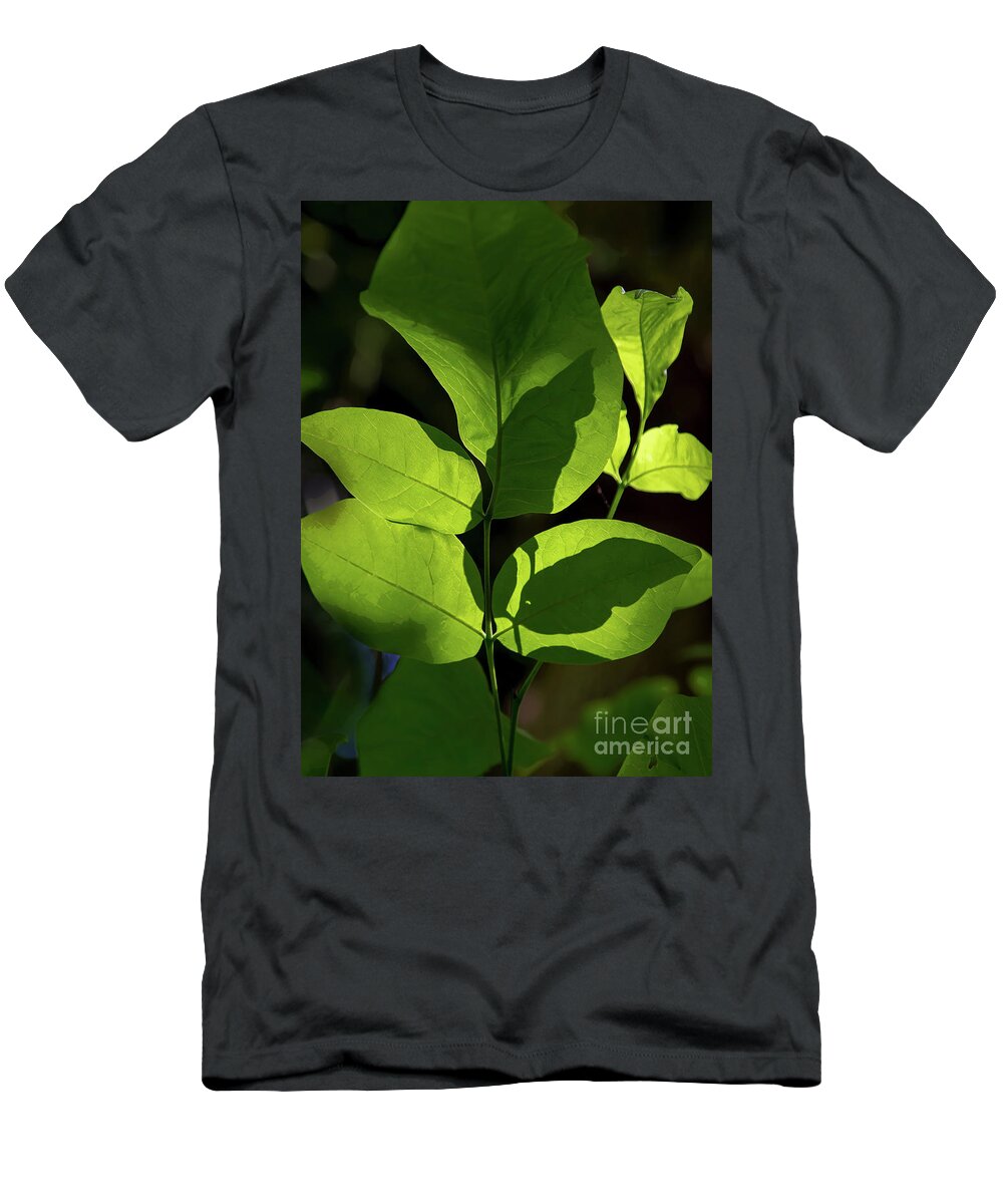 Green T-Shirt featuring the photograph Leaves of Green by Neala McCarten