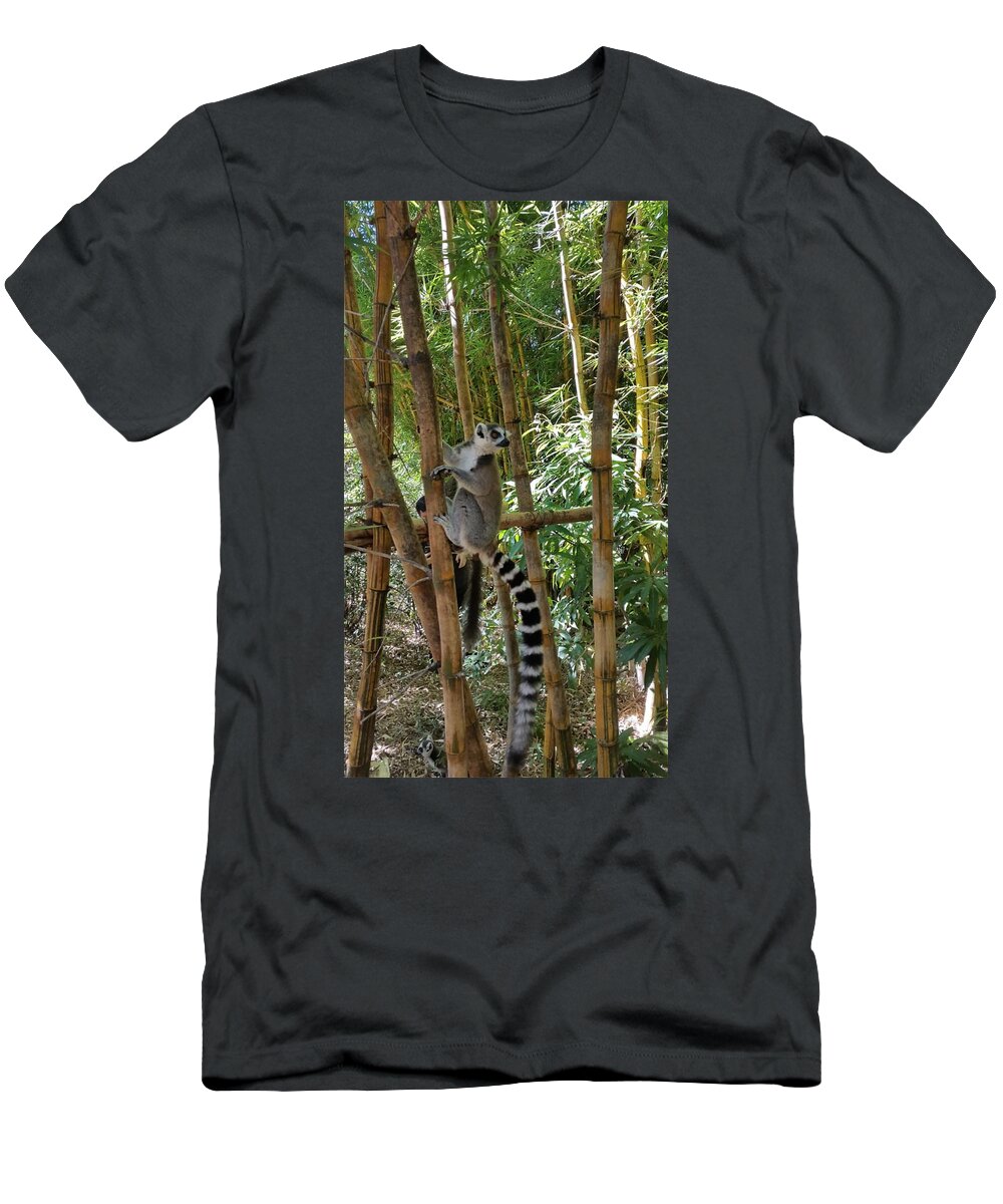All T-Shirt featuring the digital art Lemur in Madagascar 2 KN34 by Art Inspirity