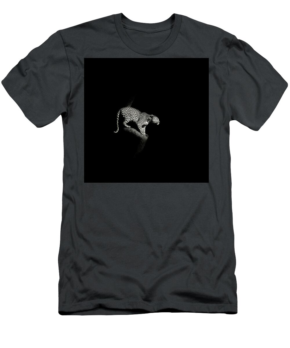 African T-Shirt featuring the photograph Leopard crouching, South Africa by Stu Porter
