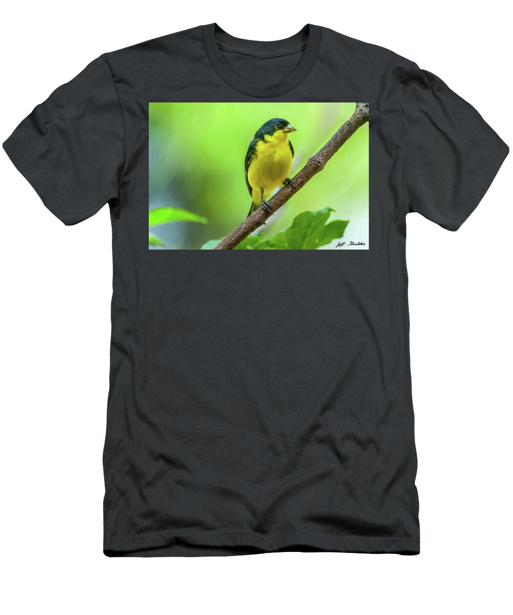 Adult T-Shirt featuring the photograph Lesser Goldfinch Perched on a Branch by Jeff Goulden