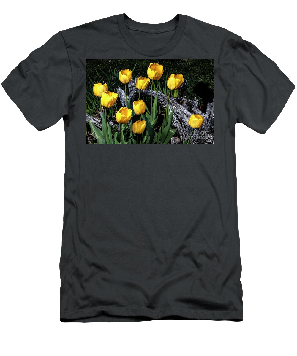 Yellow T-Shirt featuring the photograph Life Springs by Doug Norkum