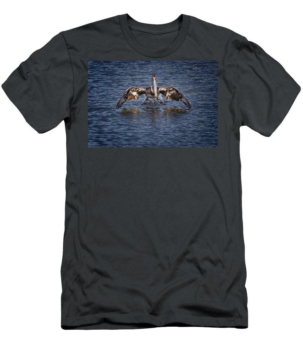 Brown Pelican T-Shirt featuring the photograph Liftoff by Ronald Lutz
