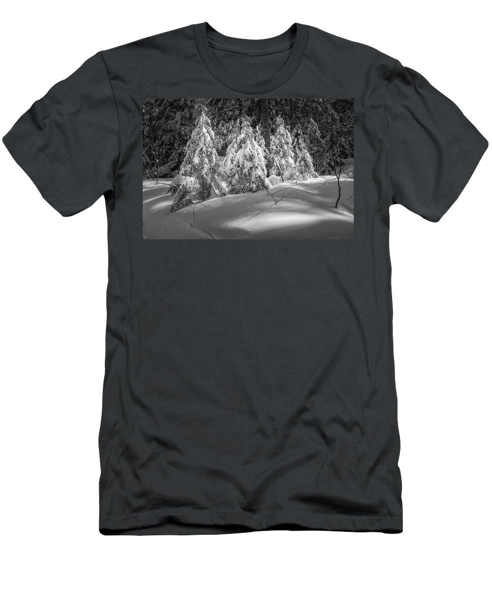 New Hampshire T-Shirt featuring the photograph Light In The Winter Wood by Jeff Sinon